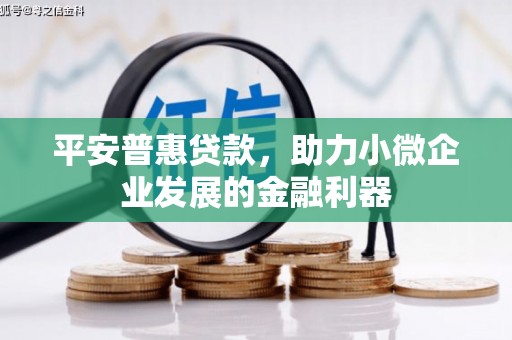 进贤平安普惠贷款，助力小微企业发展的金融利器