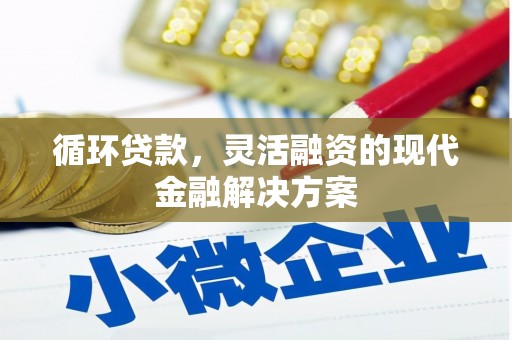 进贤循环贷款，灵活融资的现代金融解决方案