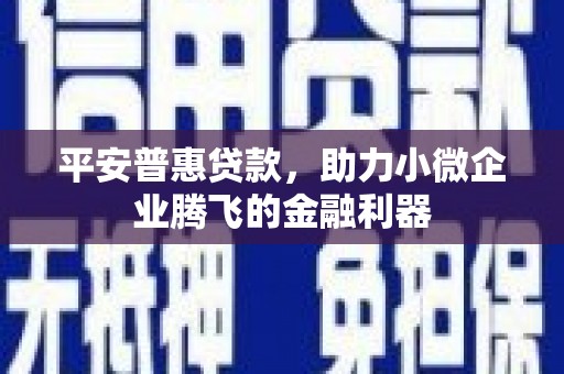 进贤平安普惠贷款，助力小微企业腾飞的金融利器
