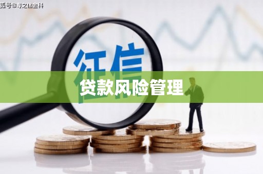 进贤贷款风险管理