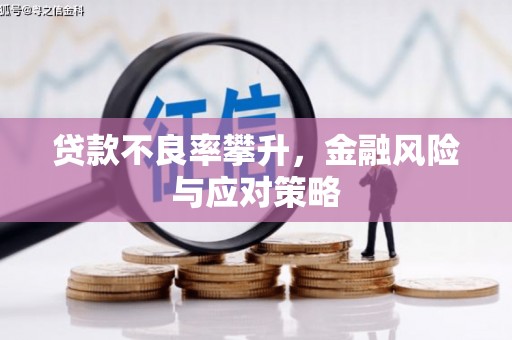 进贤贷款不良率攀升，金融风险与应对策略