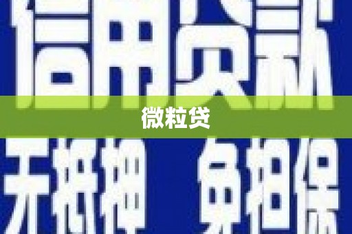 进贤微粒贷