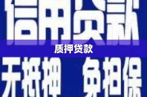 进贤质押贷款