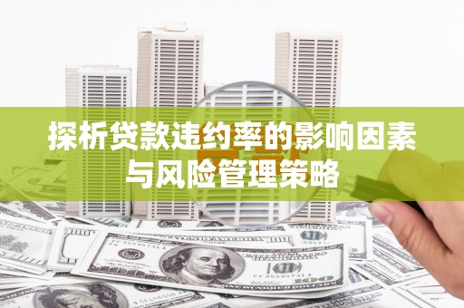 进贤探析贷款违约率的影响因素与风险管理策略
