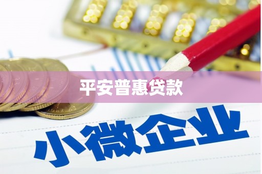 进贤平安普惠贷款
