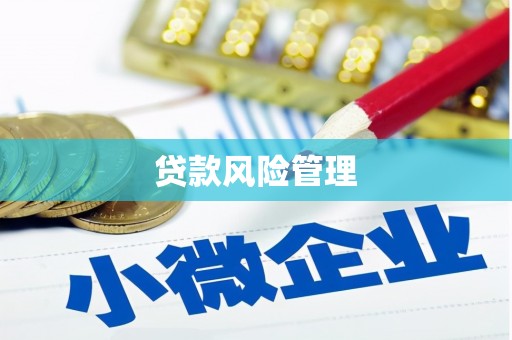 进贤贷款风险管理