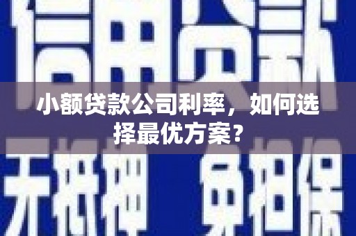进贤小额贷款公司利率，如何选择最优方案？
