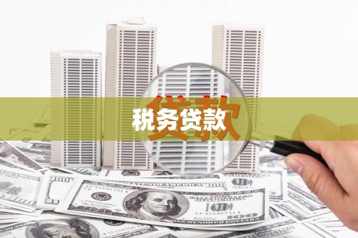 进贤税务贷款