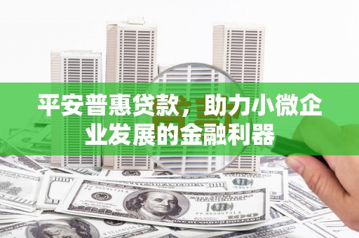 进贤平安普惠贷款，助力小微企业发展的金融利器