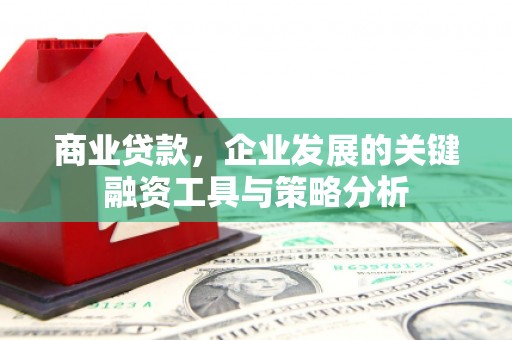 进贤商业贷款，企业发展的关键融资工具与策略分析