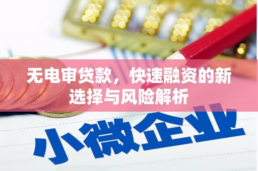 进贤无电审贷款，快速融资的新选择与风险解析