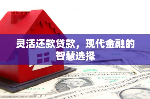 进贤灵活还款贷款，现代金融的智慧选择
