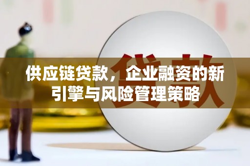 进贤供应链贷款，企业融资的新引擎与风险管理策略