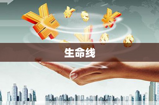 进贤生命线