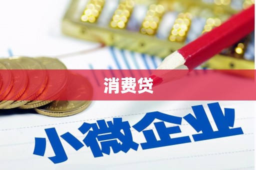 进贤消费贷