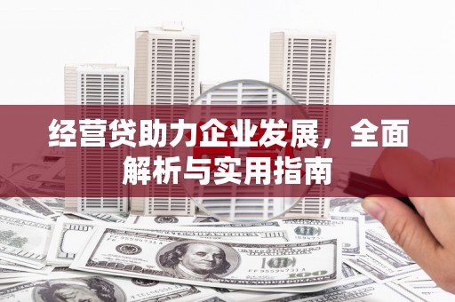 进贤经营贷助力企业发展，全面解析与实用指南