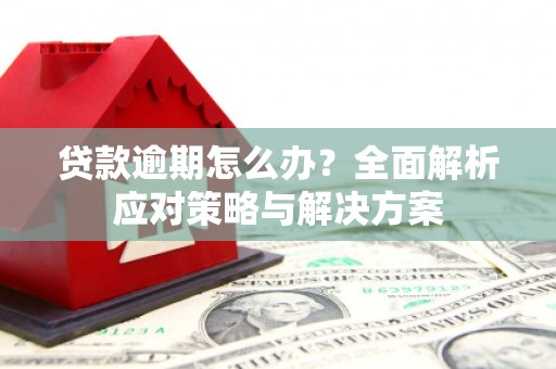 进贤贷款逾期怎么办？全面解析应对策略与解决方案