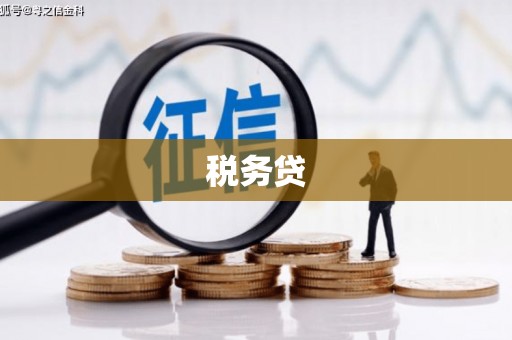 进贤税务贷
