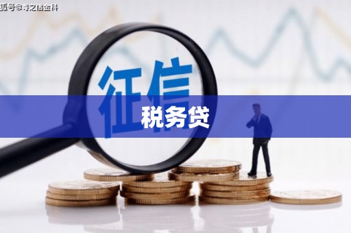 进贤税务贷