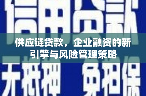 进贤供应链贷款，企业融资的新引擎与风险管理策略