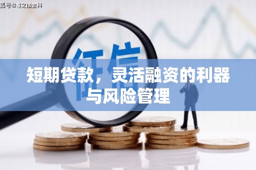 进贤短期贷款，灵活融资的利器与风险管理
