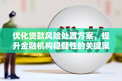 进贤优化贷款风险处置方案，提升金融机构稳健性的关键策略