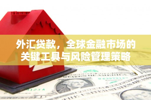 进贤外汇贷款，全球金融市场的关键工具与风险管理策略