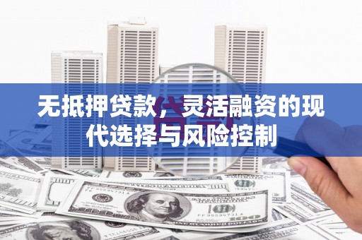 进贤无抵押贷款，灵活融资的现代选择与风险控制