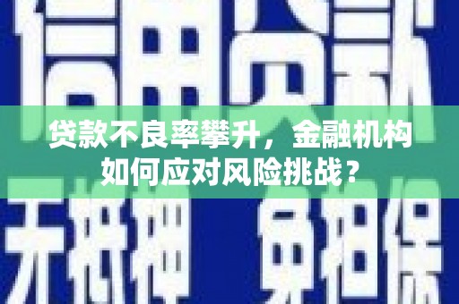 进贤贷款不良率攀升，金融机构如何应对风险挑战？
