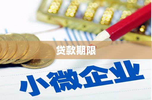 进贤贷款期限