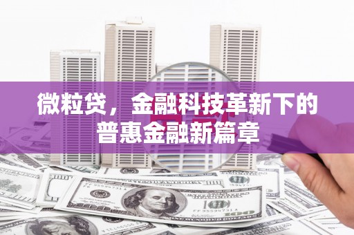 进贤微粒贷，金融科技革新下的普惠金融新篇章