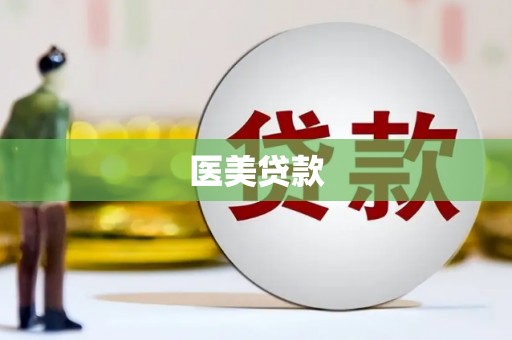进贤医美贷款