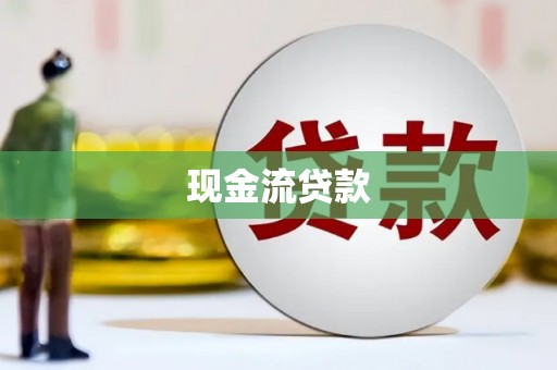 进贤现金流贷款