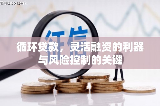 进贤循环贷款，灵活融资的利器与风险控制的关键