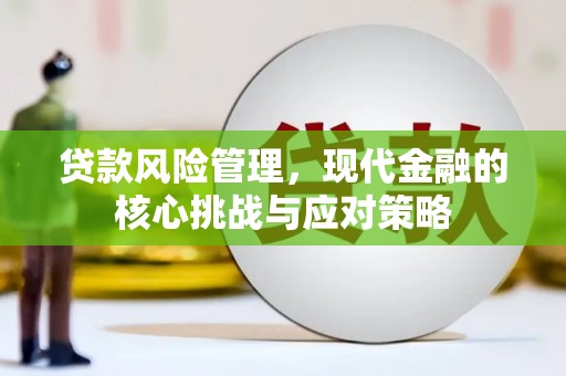 进贤贷款风险管理，现代金融的核心挑战与应对策略