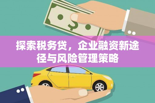 进贤探索税务贷，企业融资新途径与风险管理策略
