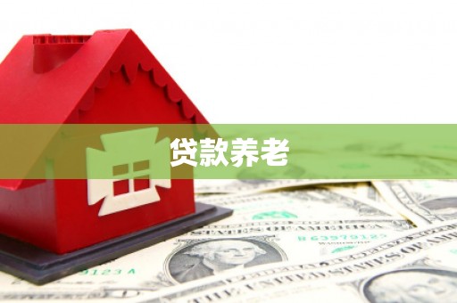 进贤贷款养老