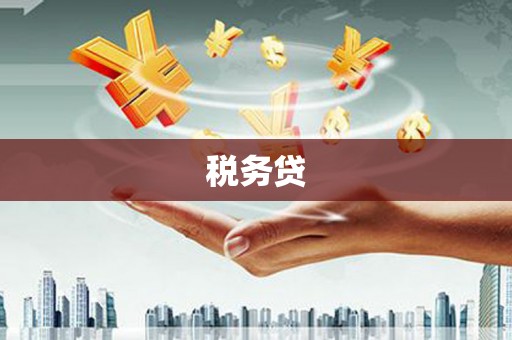进贤税务贷