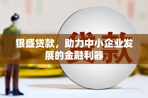 进贤银盛贷款，助力中小企业发展的金融利器