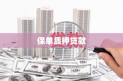 进贤保单质押贷款