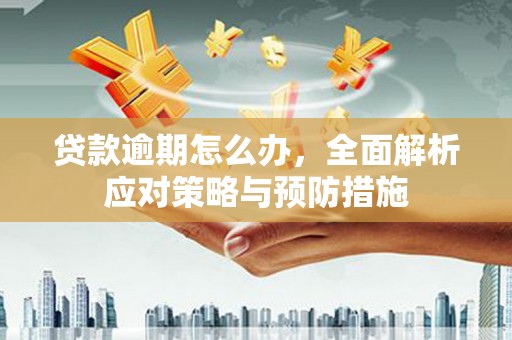 进贤贷款逾期怎么办，全面解析应对策略与预防措施