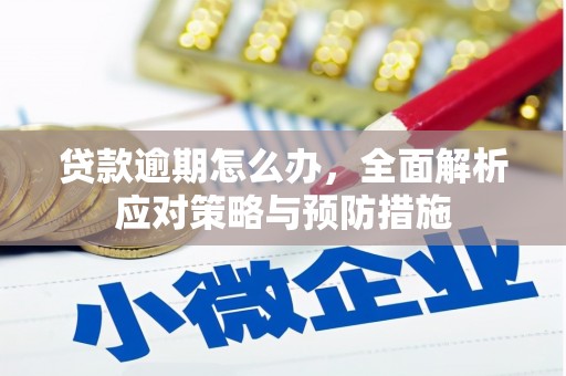 进贤贷款逾期怎么办，全面解析应对策略与预防措施
