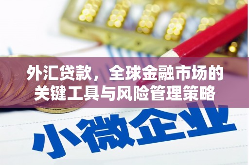进贤外汇贷款，全球金融市场的关键工具与风险管理策略