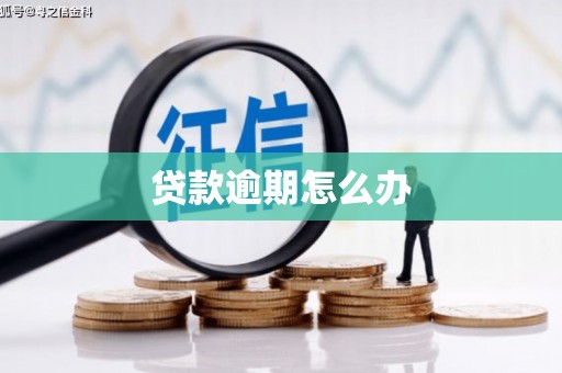 进贤贷款逾期怎么办