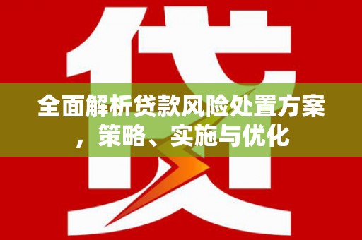 进贤全面解析贷款风险处置方案，策略、实施与优化