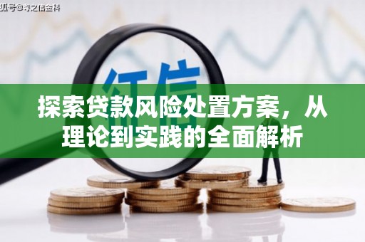 进贤探索贷款风险处置方案，从理论到实践的全面解析