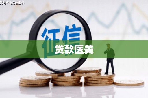 进贤贷款医美