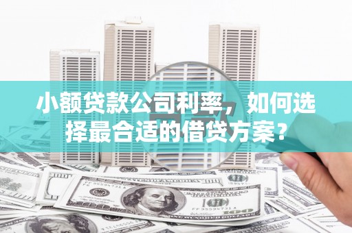 进贤小额贷款公司利率，如何选择最合适的借贷方案？