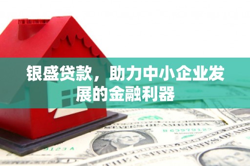 进贤银盛贷款，助力中小企业发展的金融利器