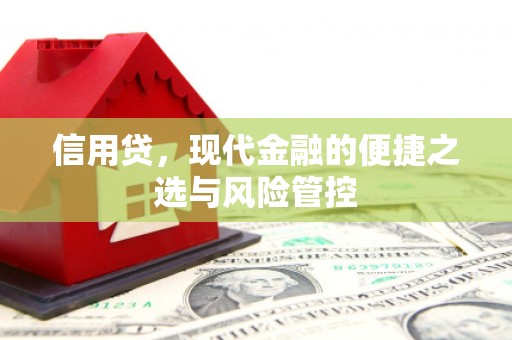 进贤信用贷，现代金融的便捷之选与风险管控